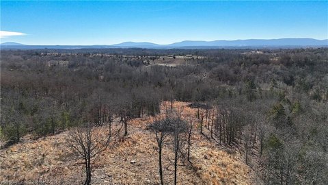 Wooded Hunting Land Homesite