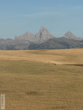LAND - Felt, ID