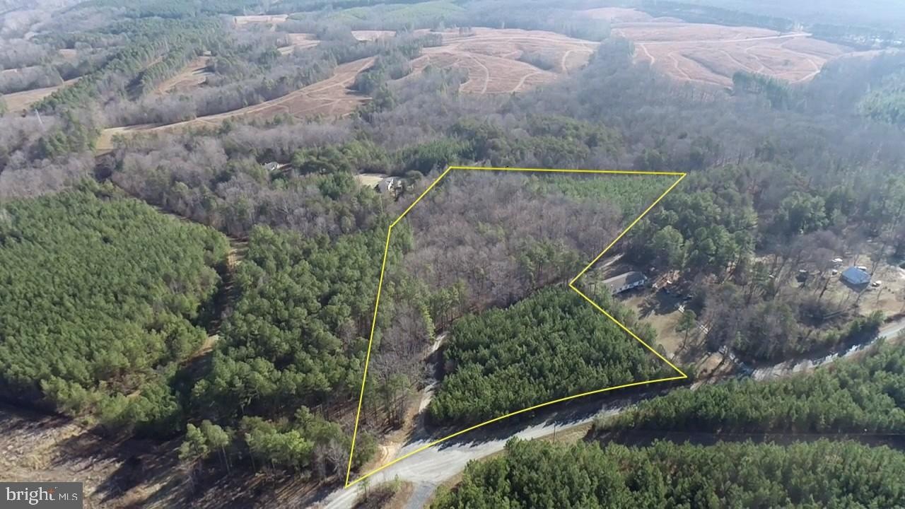 Arvonia Land with Loblolly Pines