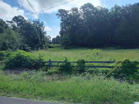 LAND - SYLACAUGA, AL