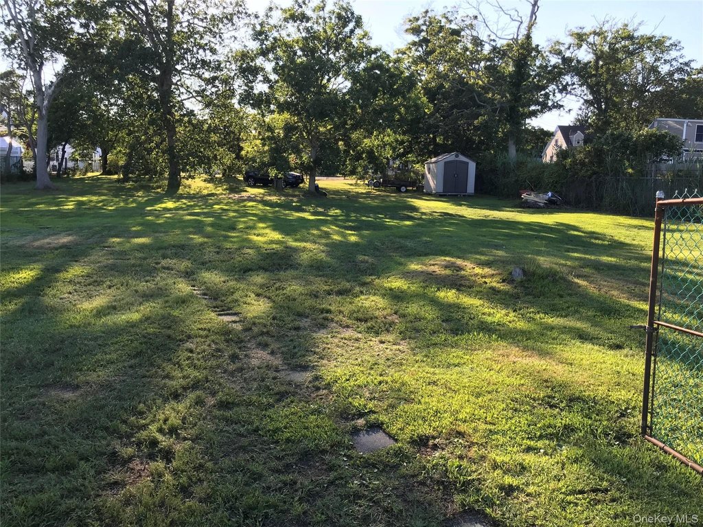 Picture 21