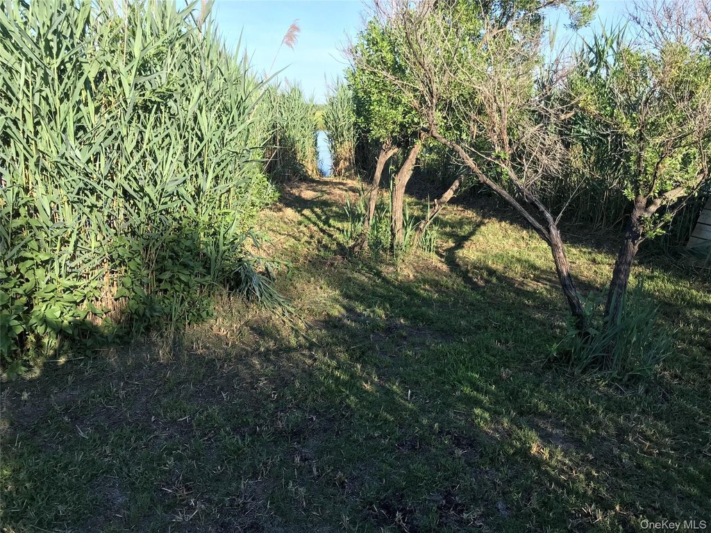 Picture 25