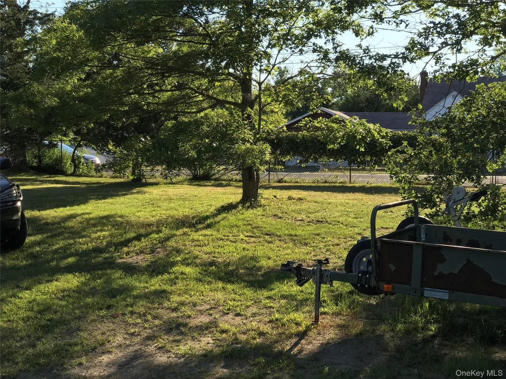 Picture 31