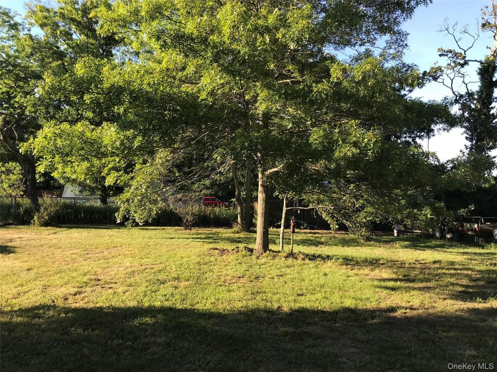 Picture 36