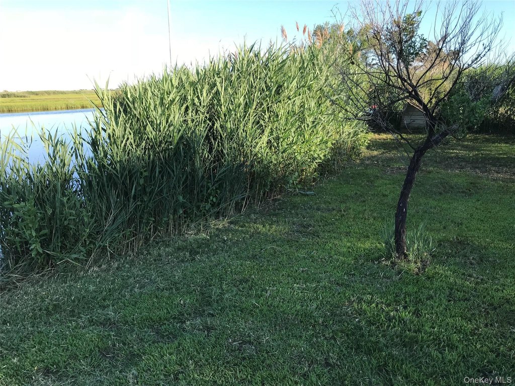 Picture 19