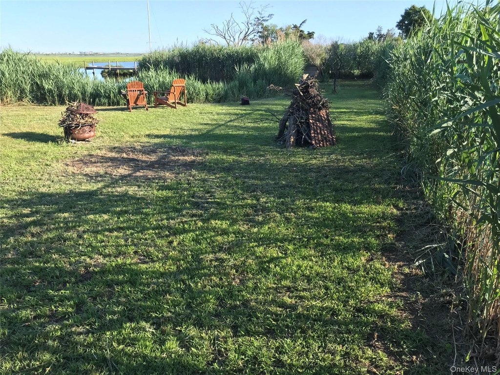 Picture 23