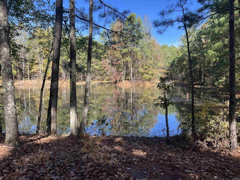 Hardwood Hunting Land with Ponds
