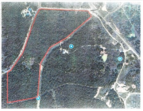Heavily Wooded Private Acreage