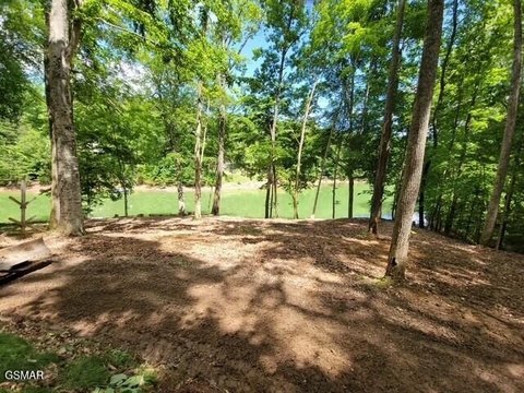 Picture of Residential land & home lots at Old Chisholm Trl 1450, Dandridge, TN