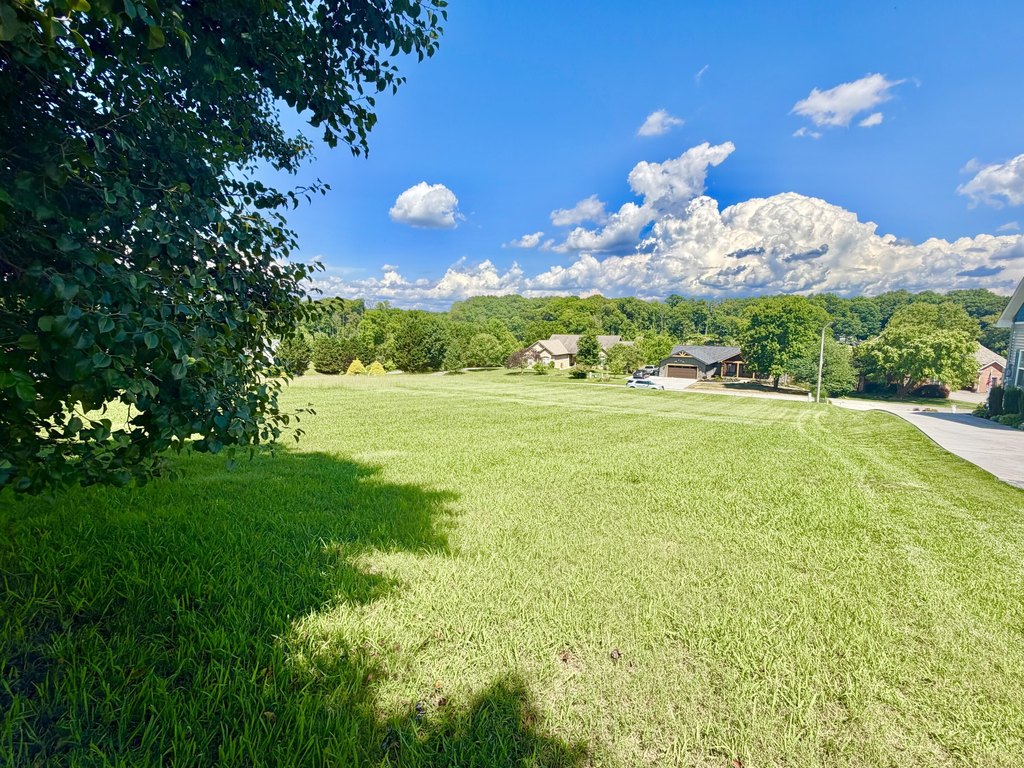 Picture 6