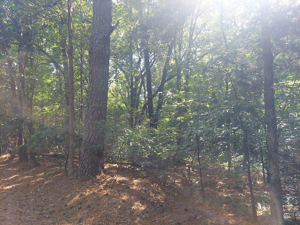 Picture 3