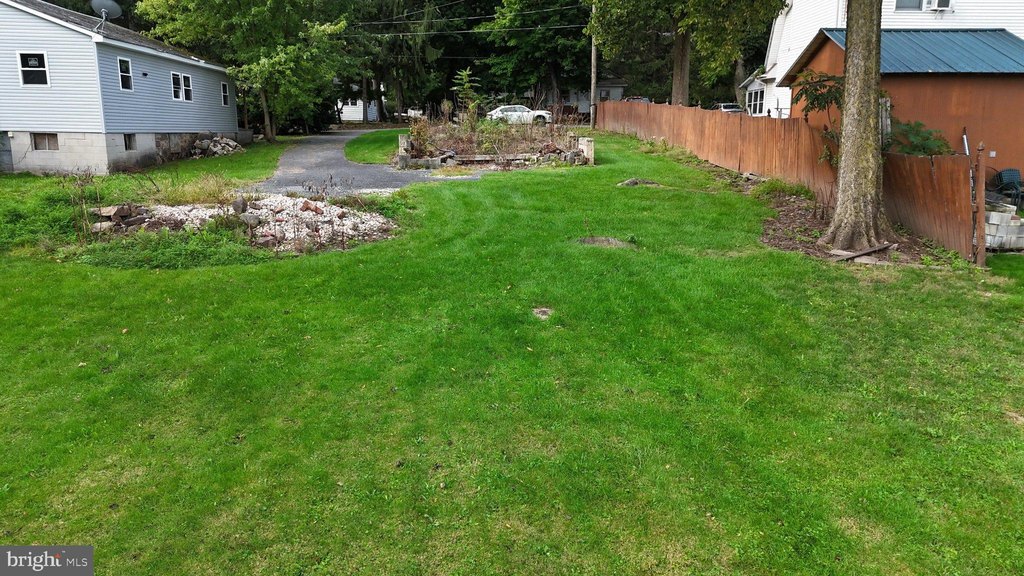 Picture 8