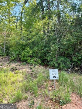 Land, Blue Ridge, GA