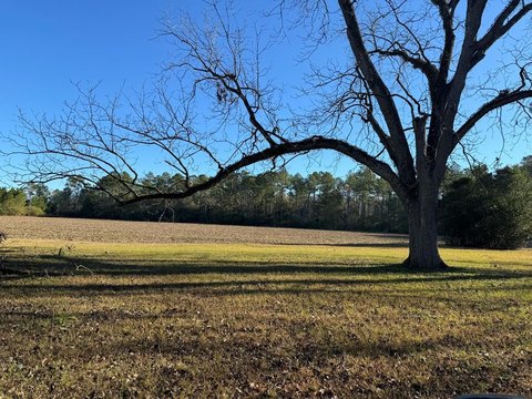 Land, Cairo, GA