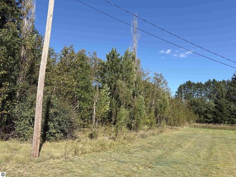 Vacant Lot/Land, Lupton, MI