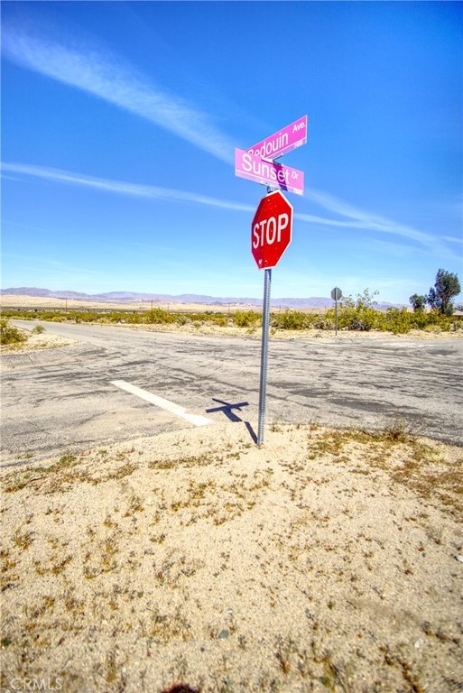 Picture 4