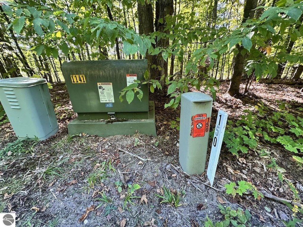Picture 25