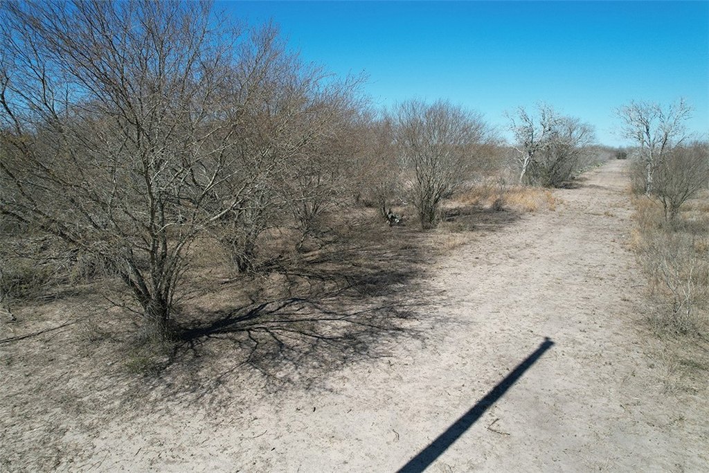 Picture 11