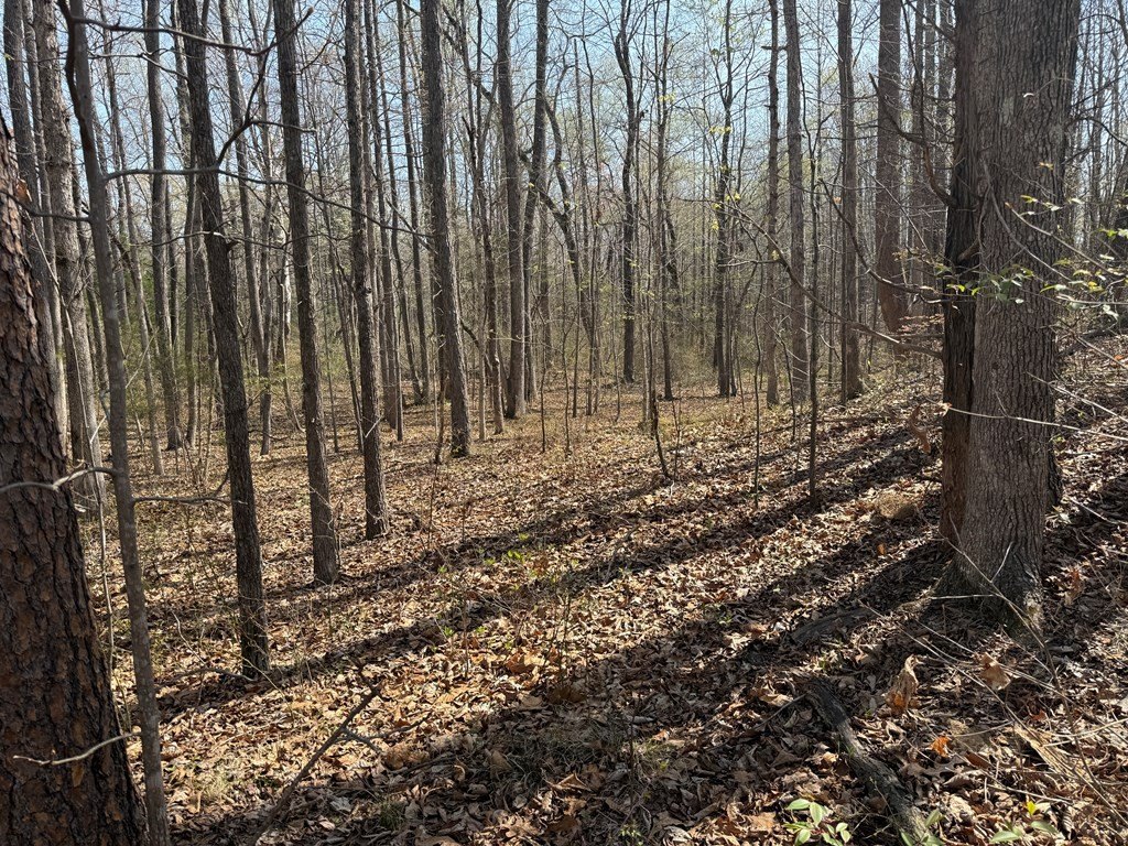 Picture 10
