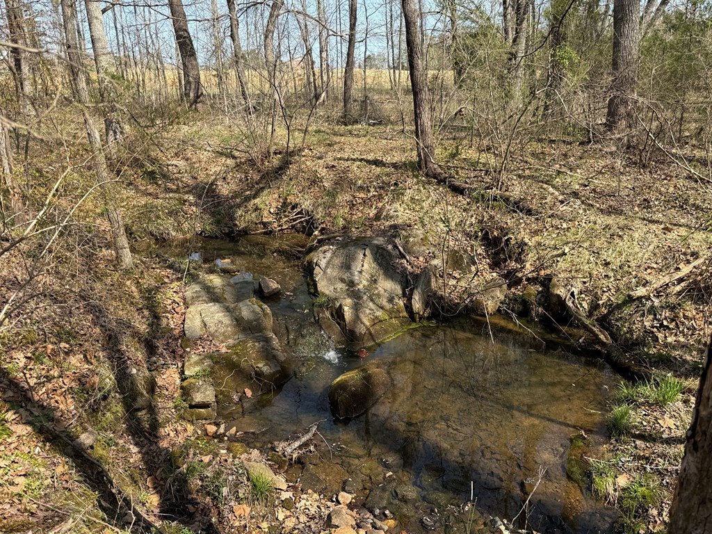 Picture 14