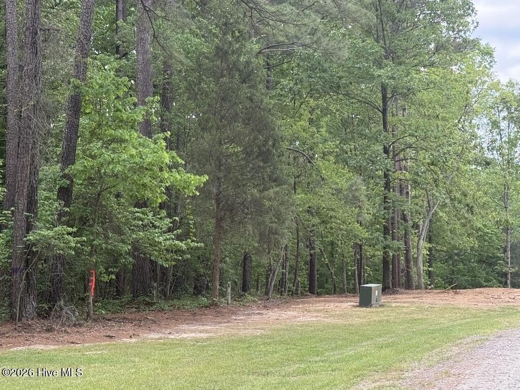 Picture 26