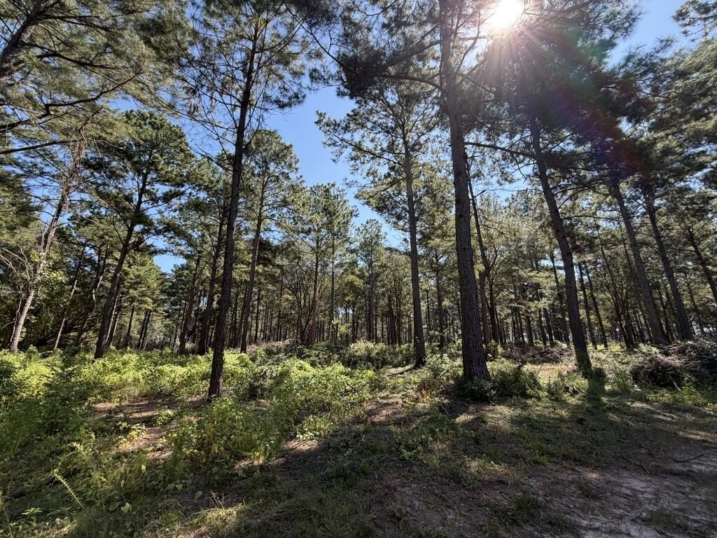 Picture 25