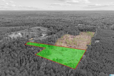 Unzoned Land Parcel with Timber