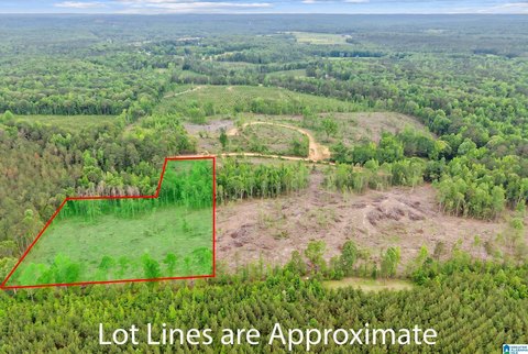 Partially Cleared Unzoned Acreage