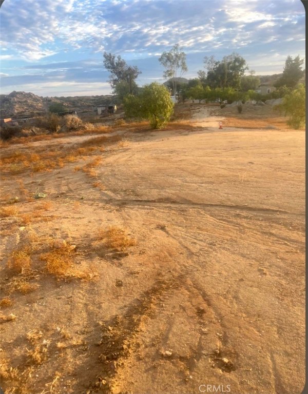 Picture 8
