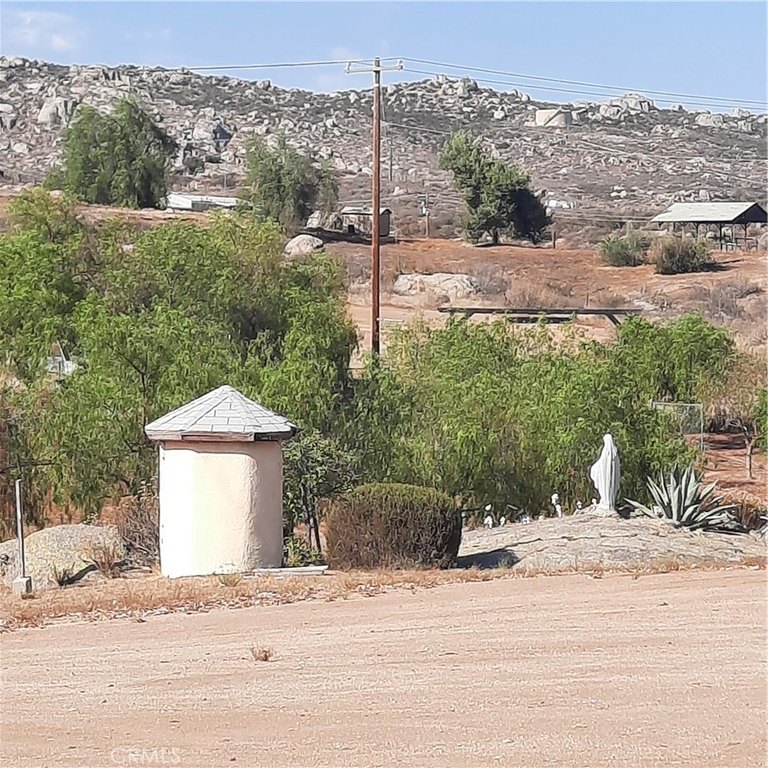 Picture 14