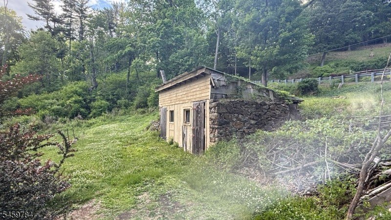 Picture 8
