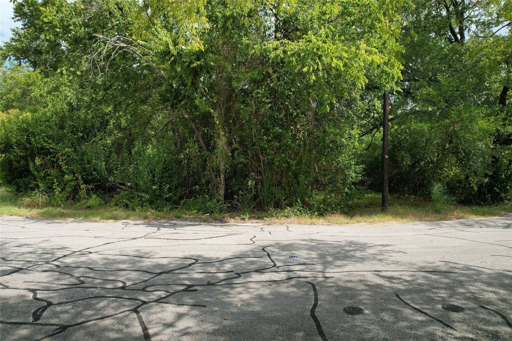 Picture 24