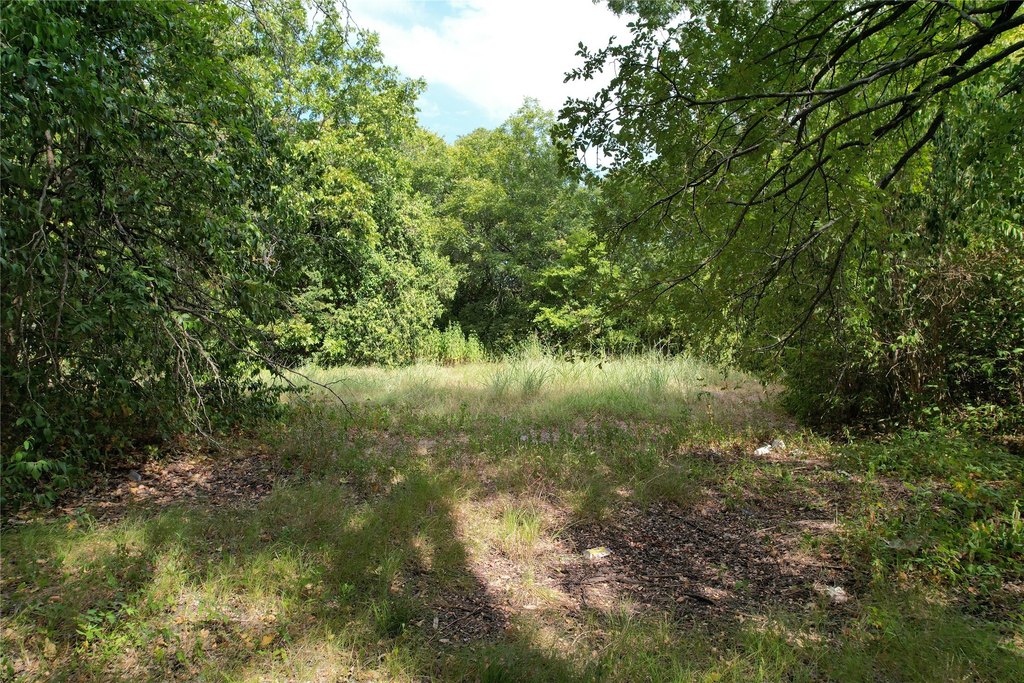 Picture 22