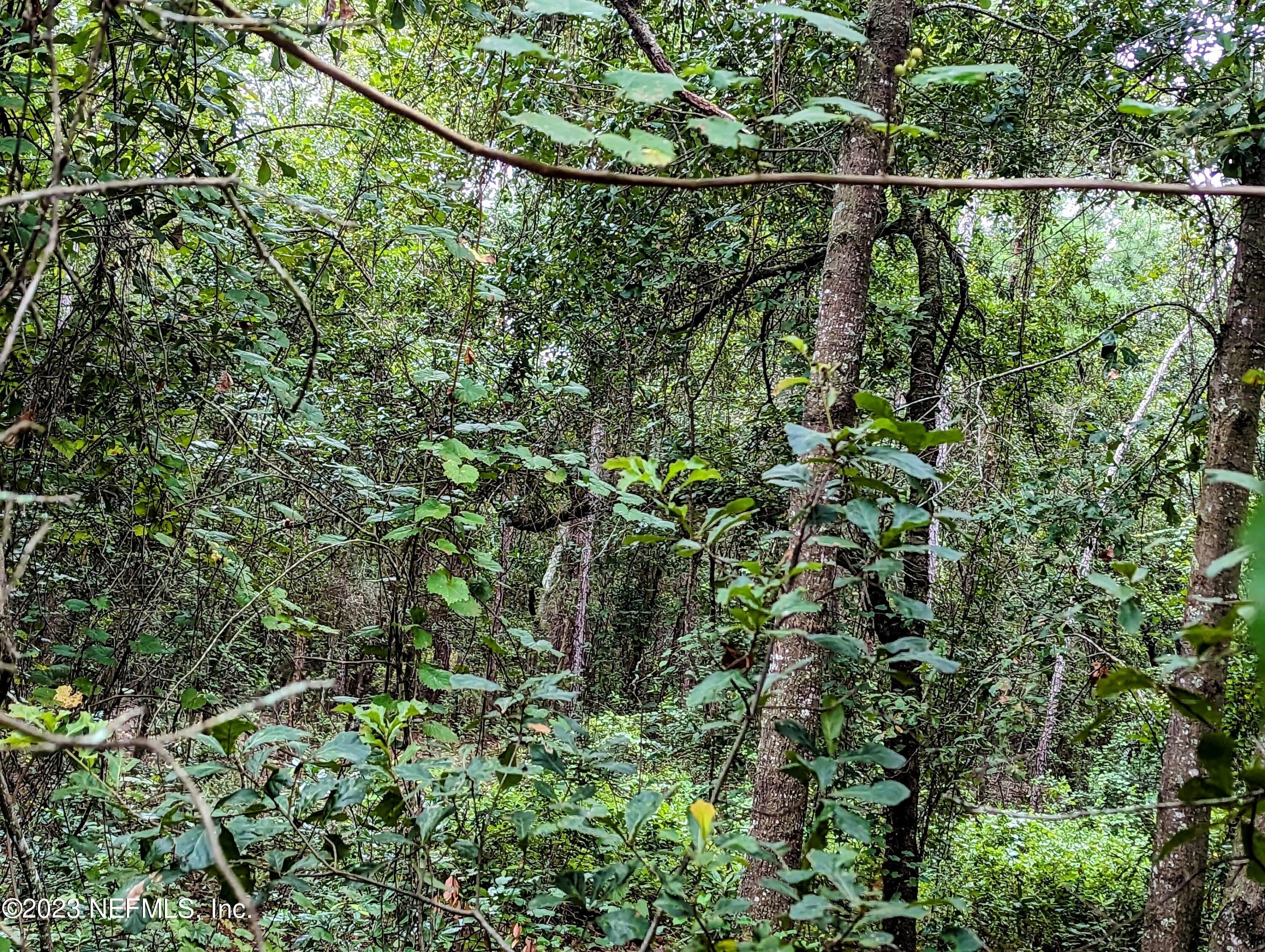 Keystone Heights Vacant Land