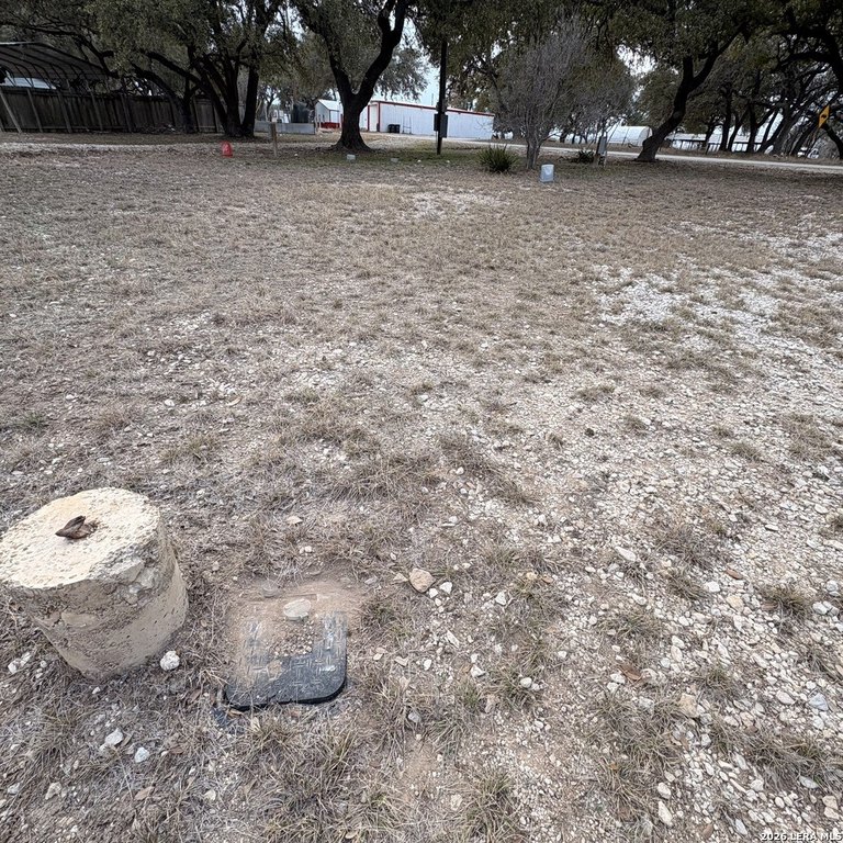 Picture 17