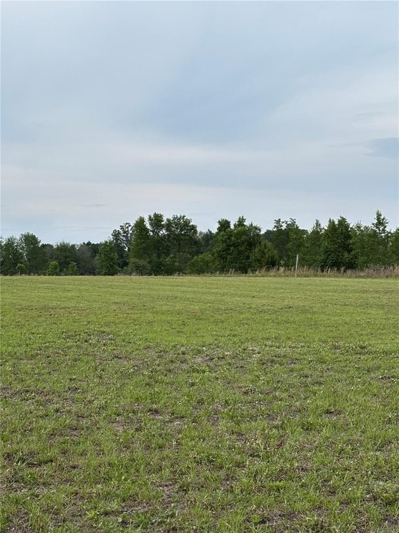 Picture 12