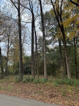 Residential Lot in Lufkin, TX