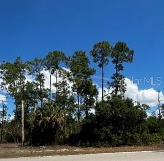 Land, LEHIGH ACRES, FL