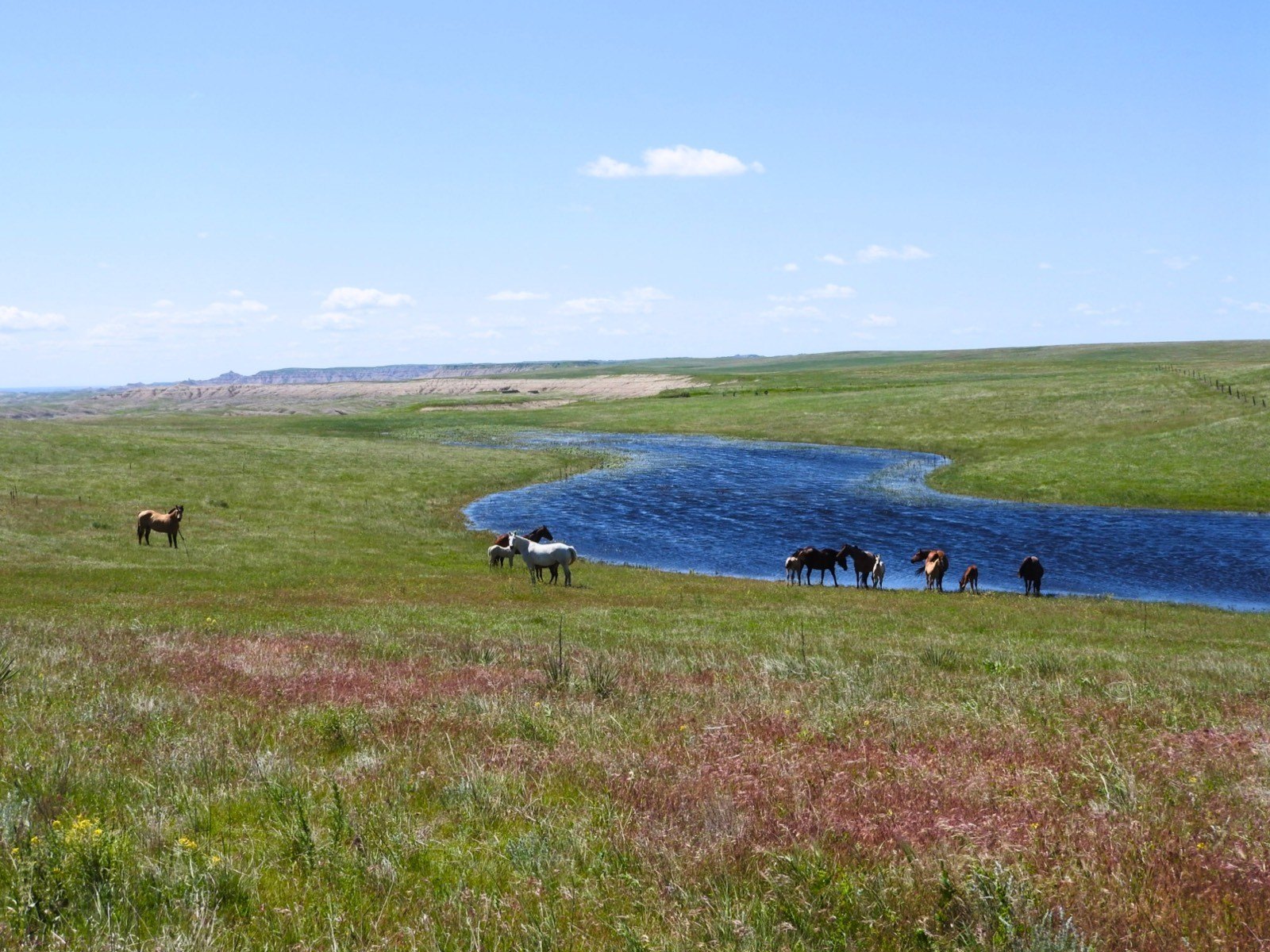 HM Quarter Horse Ranch