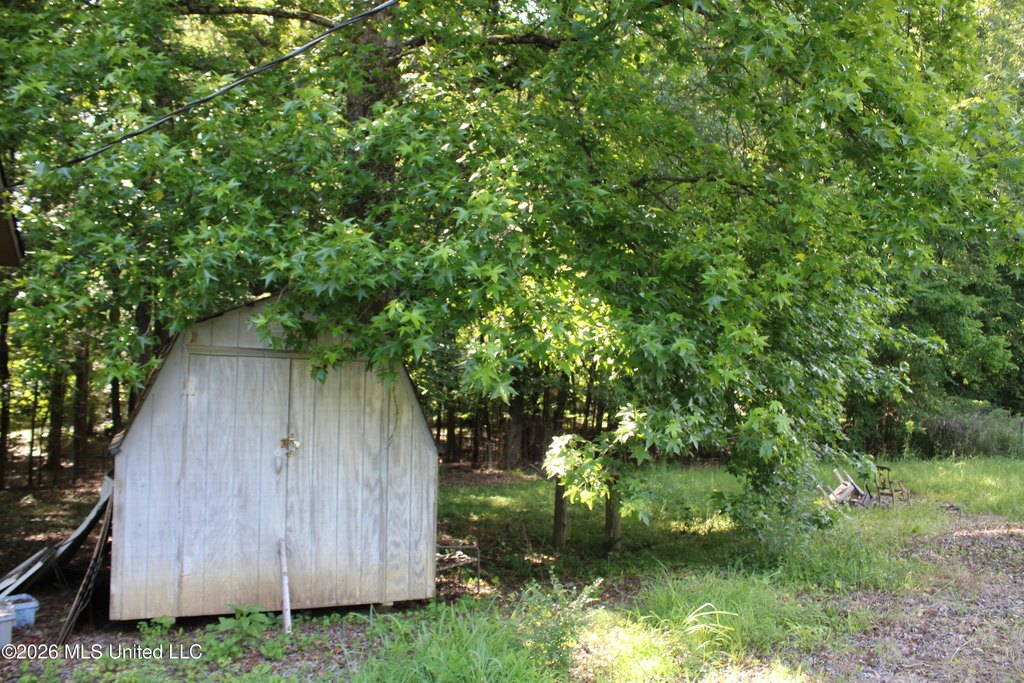 Picture 9
