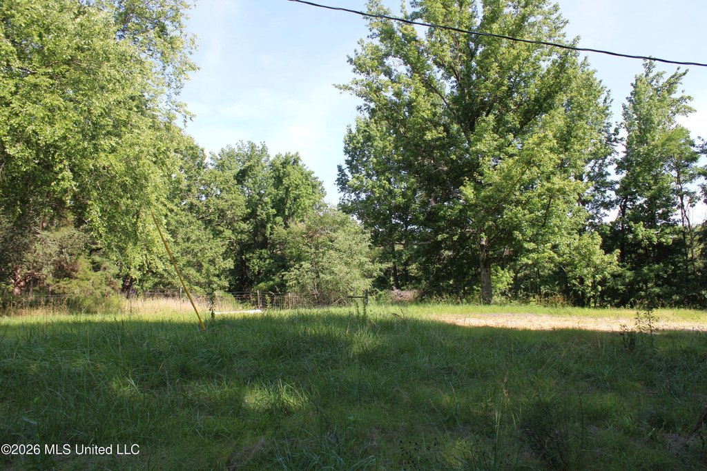 Picture 16