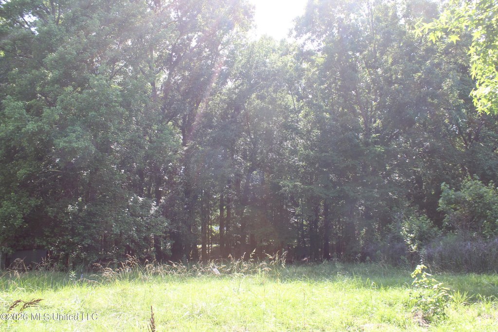 Picture 12