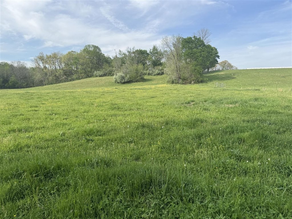 Picture 11