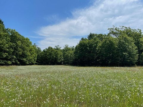LAND - Irons, MI