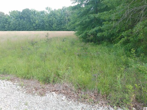Two-Tract Hunting Land Parcel