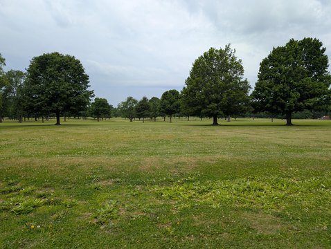 LAND - Dowagiac, MI
