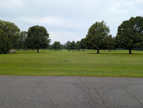 Land, Dowagiac, MI