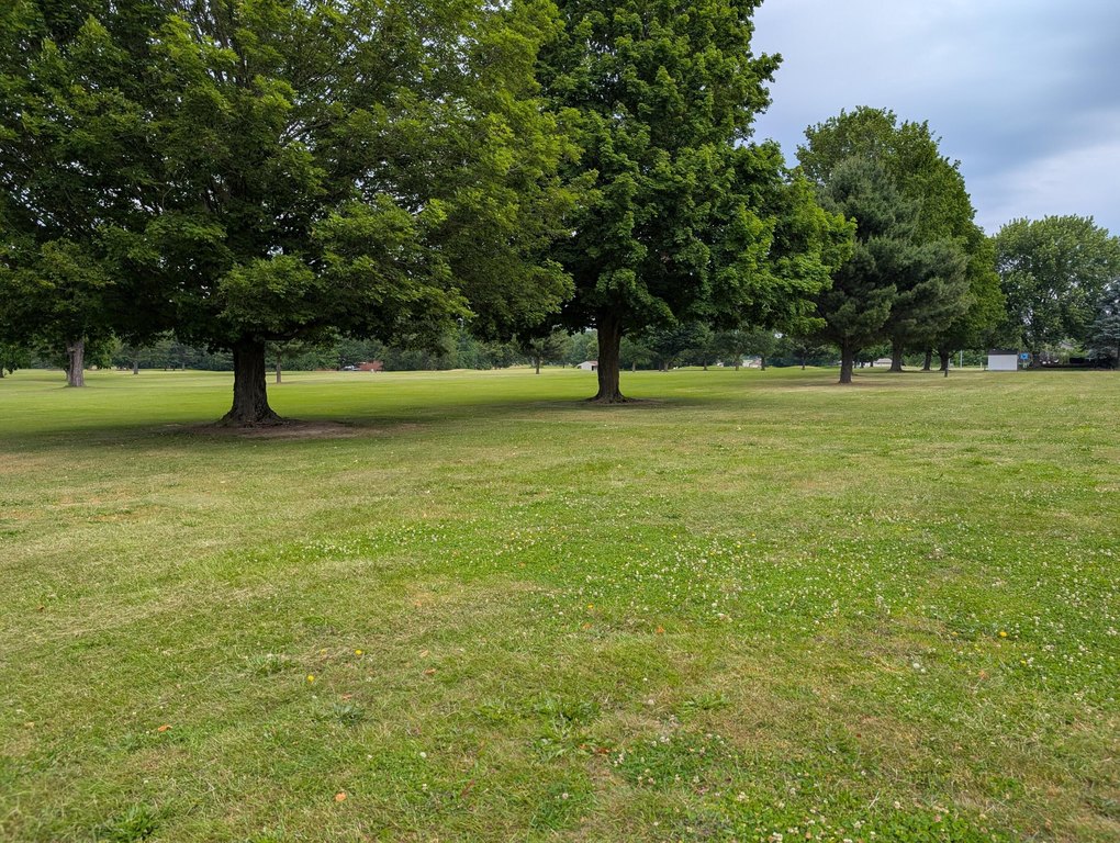 Picture 3