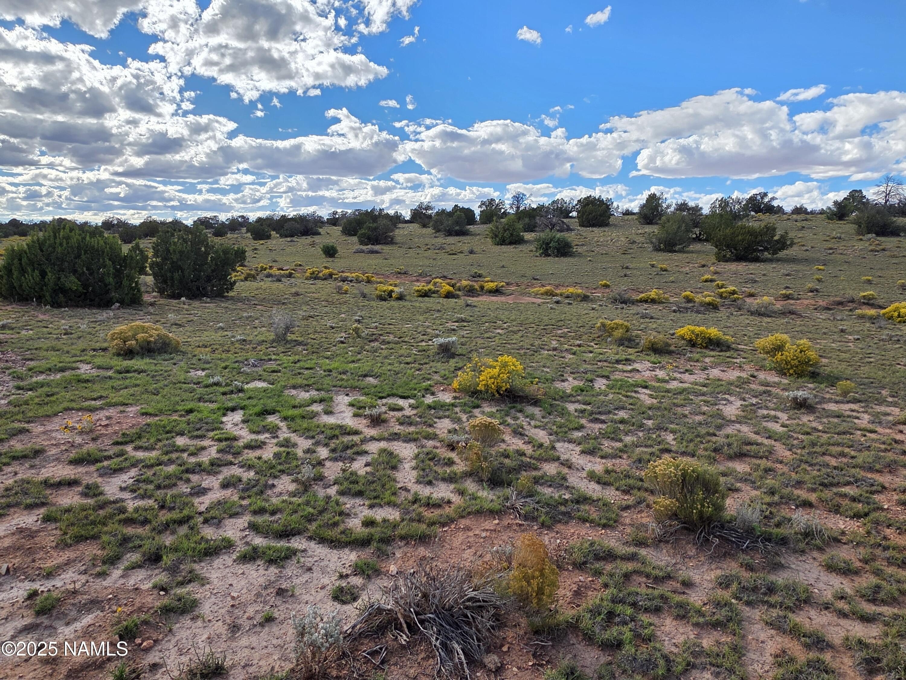 10 Acres in Four Hill Ranch