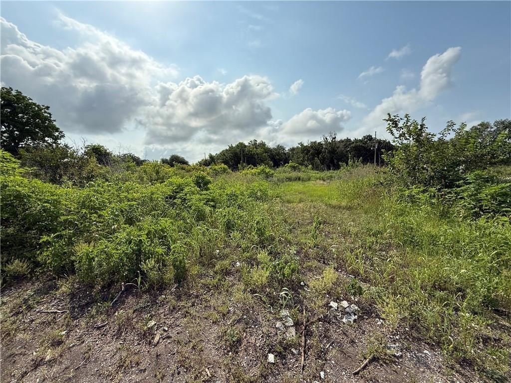 Picture 2